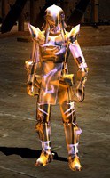 Set Leather  exe Luck+DD+RATE+13